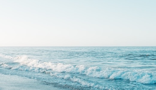 ゆるペン2歳7か月と16日｜仕事終わりの鬼電と、今日も全力なちびペン